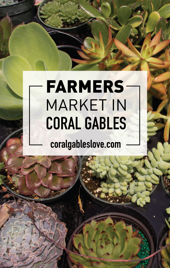 Coral Gables Farmers market. Best things to do in Miami.