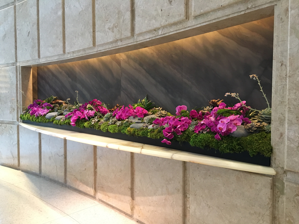 Eden Roc Hotel in South Beach, Miami wall terrarium installation