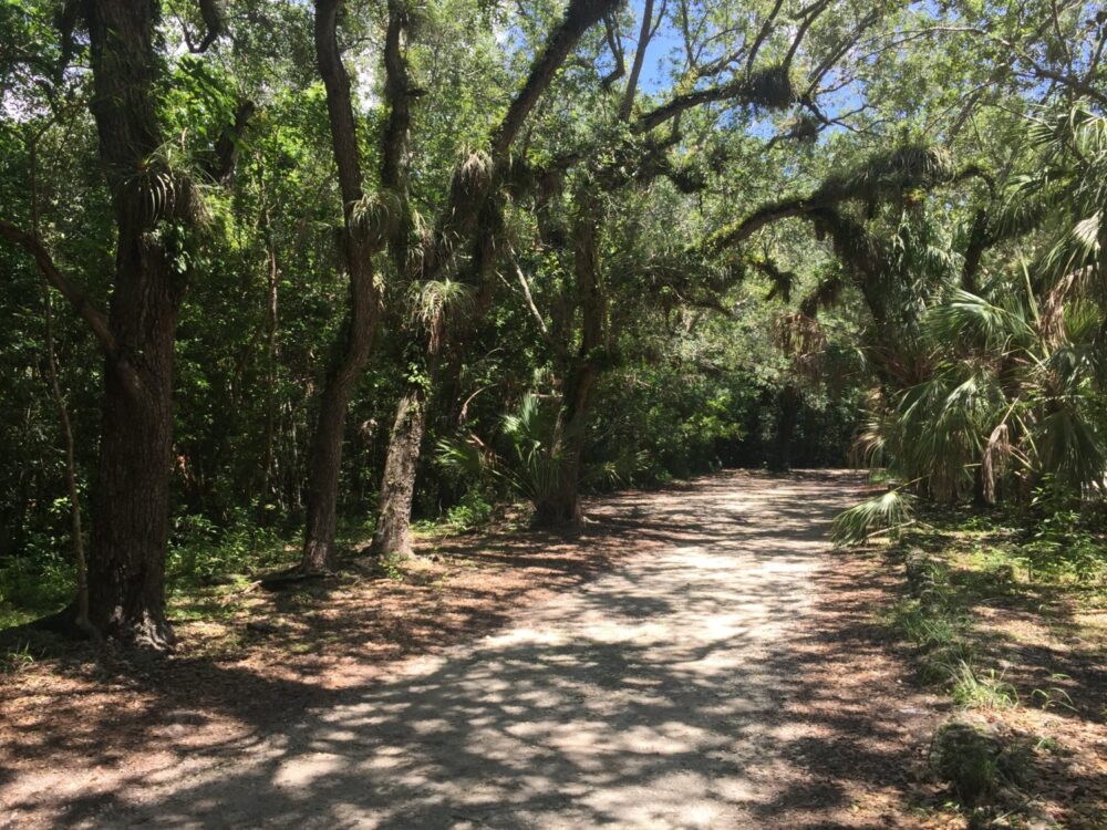 Coral Gables Secret Matheson Hammock Nature Trail & Dog Park Coral