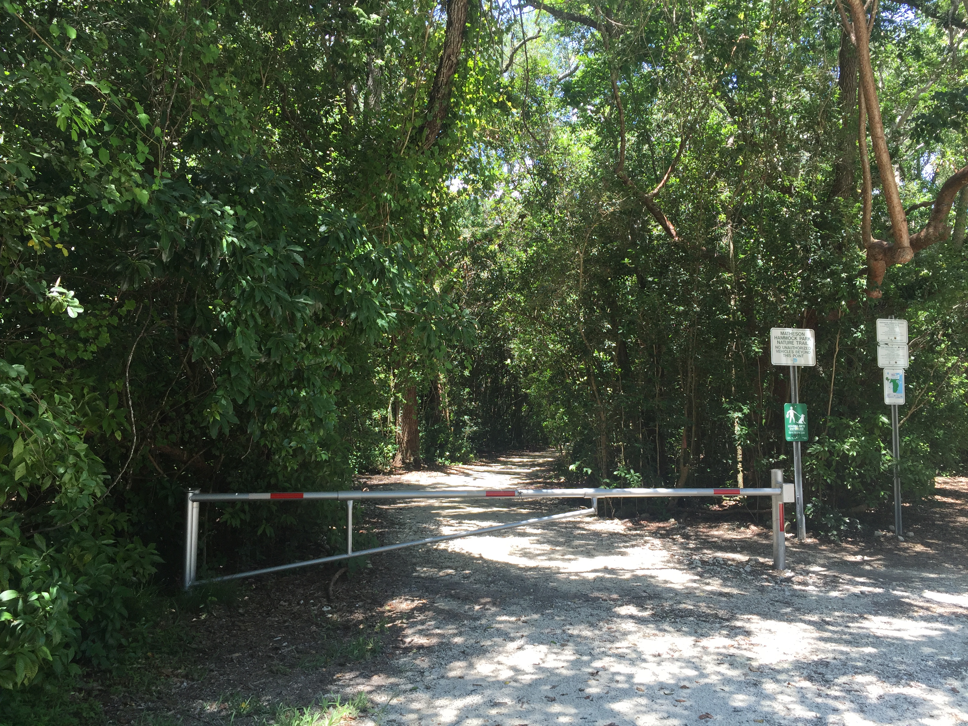 Coral Gables secret nature trail and dog park. Click to read more or pin and save for later!