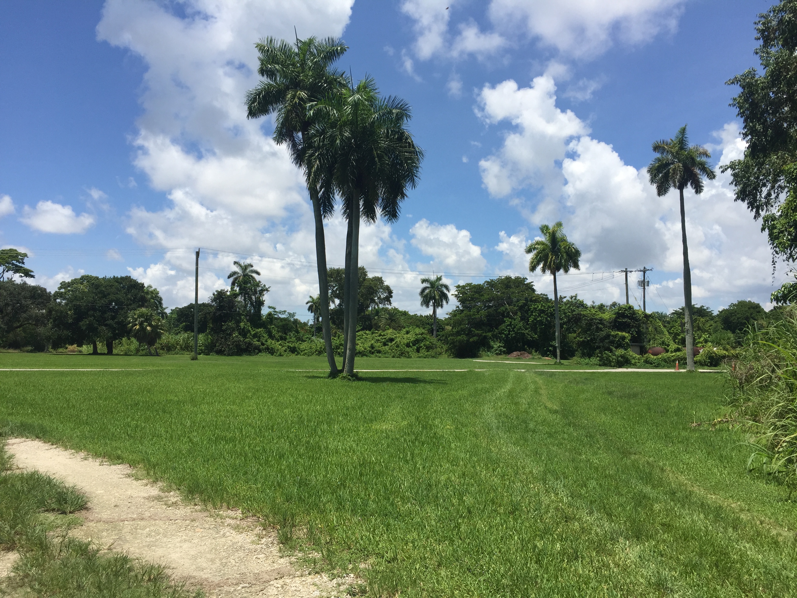 Coral Gables secret nature trail and dog park. Click to read more or pin and save for later!