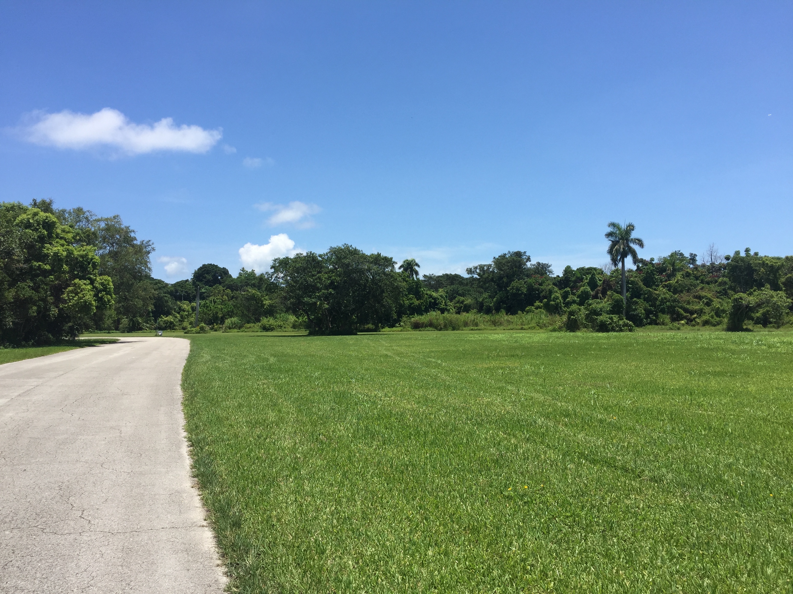 Coral Gables secret nature trail and dog park. Click to read more or pin and save for later!