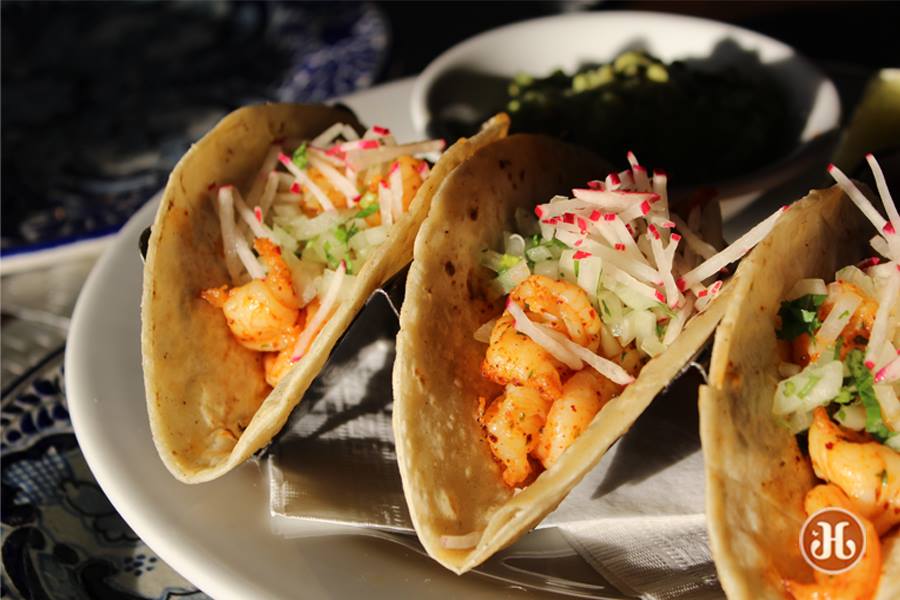 Talavera Coral Gables restaurant shrimp tacos