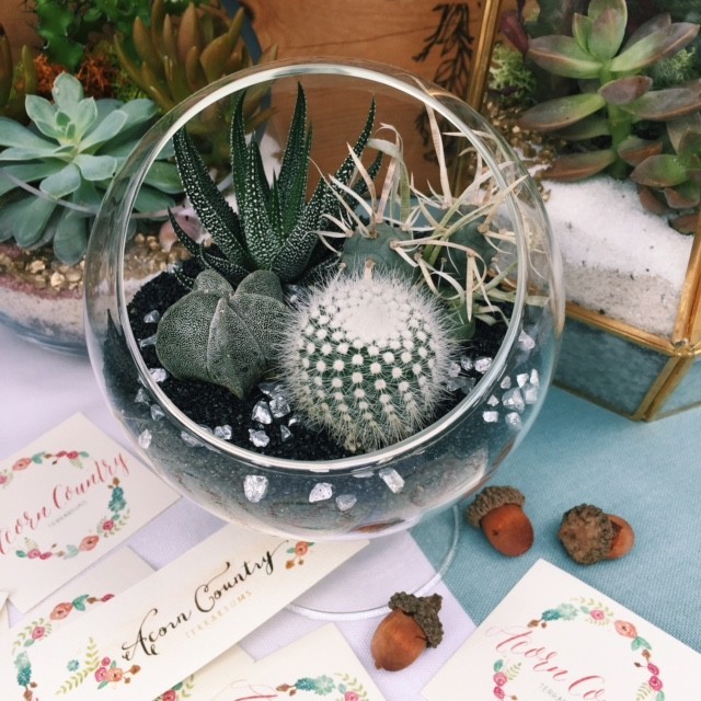 Acorn Country Terrariums vendor at Hatch Miami in Coral Gables