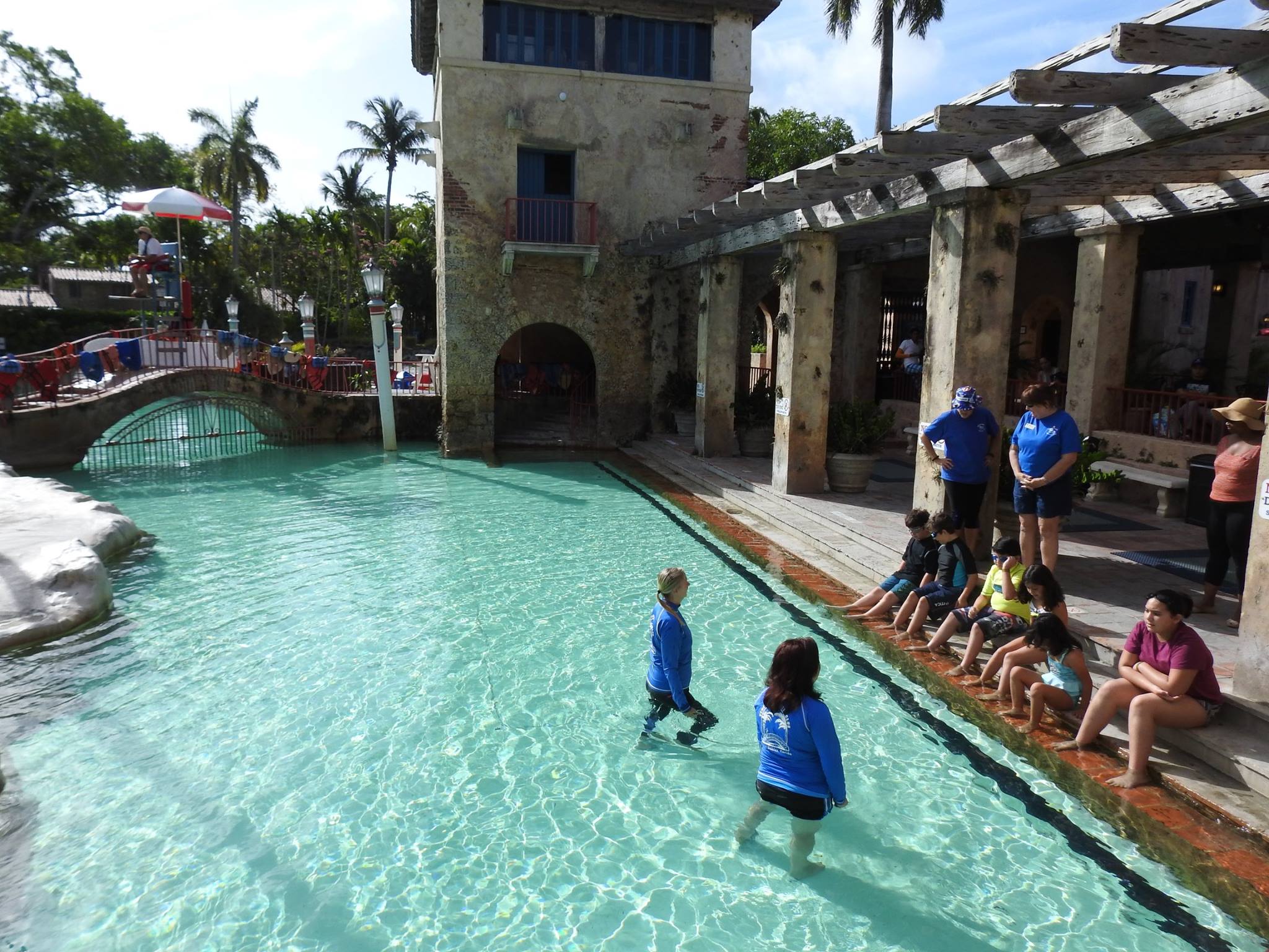 Venetial Aquatic Club Summer Swimming Lessons