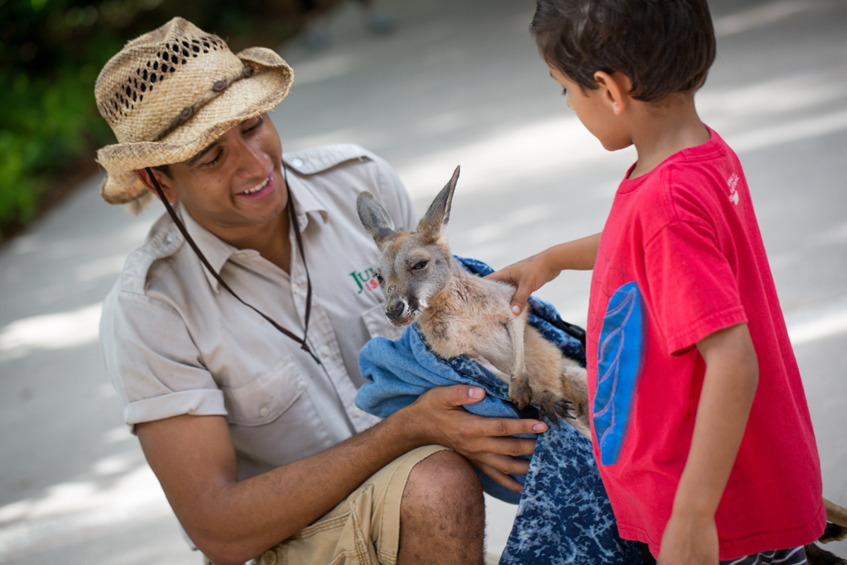 Jungle Island Ed-venture Summer Camp Miami