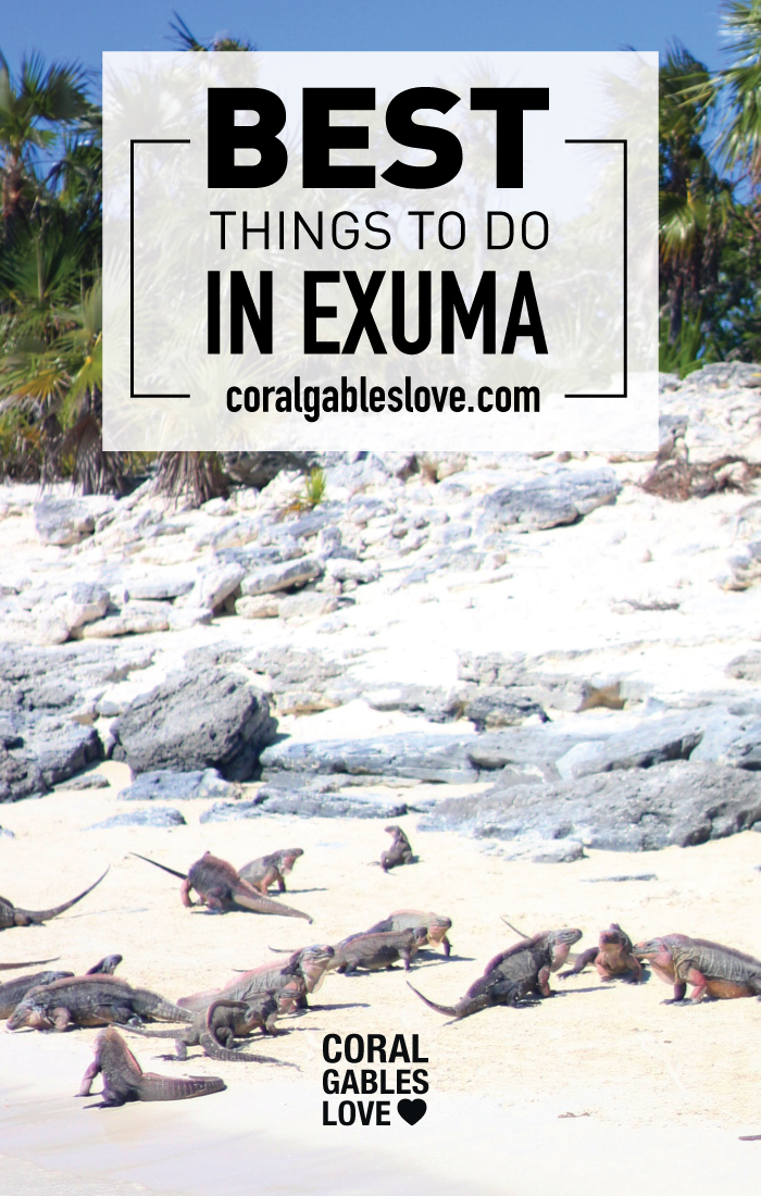 Best Things To Do In Exumas Along With Swimming With The Piggies