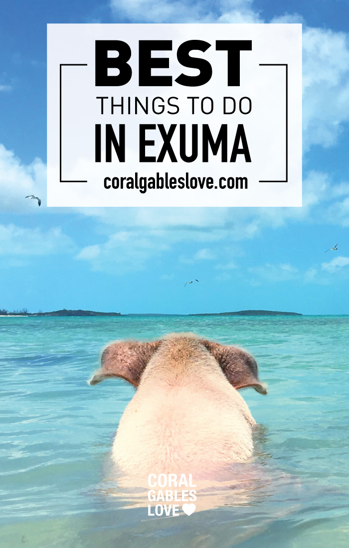 Best Things To Do In Exumas Along With Swimming With The Piggies