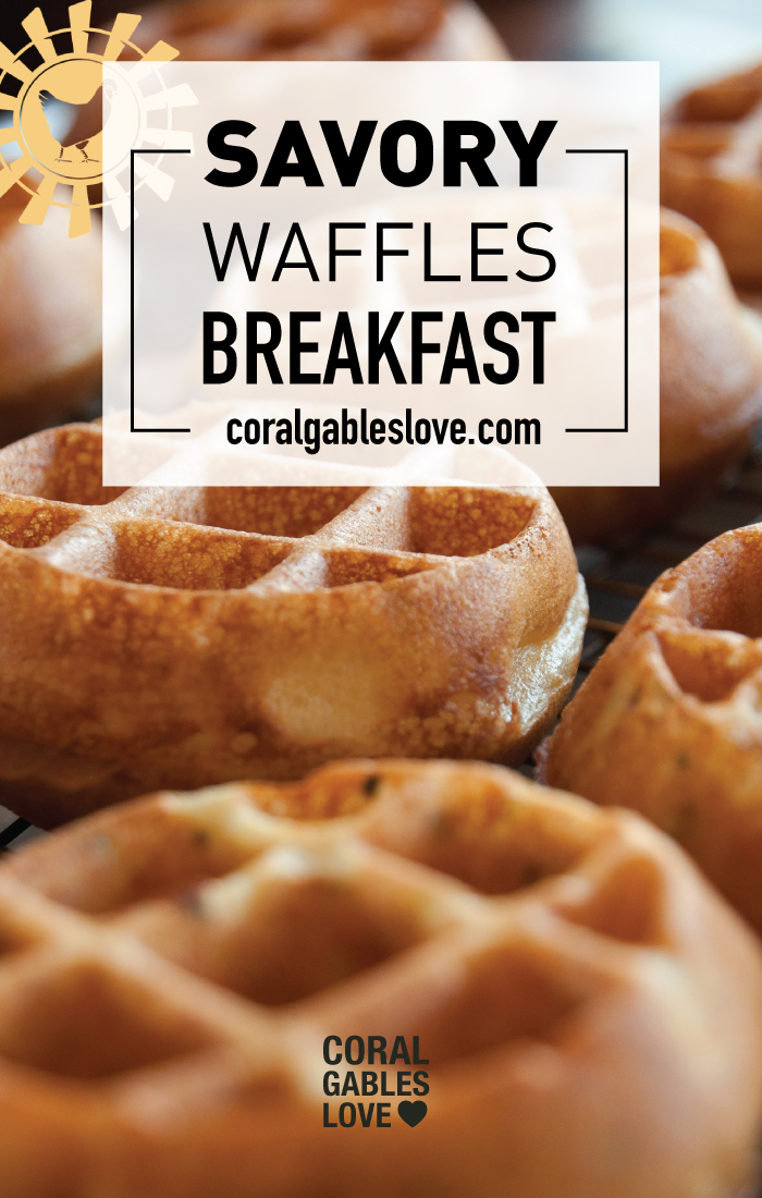 Spring Chicken Breakfast menu savory waffles. Miami restaurant.