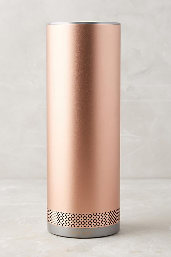 Stylish Portable Wireless Speaker in Rose Gold