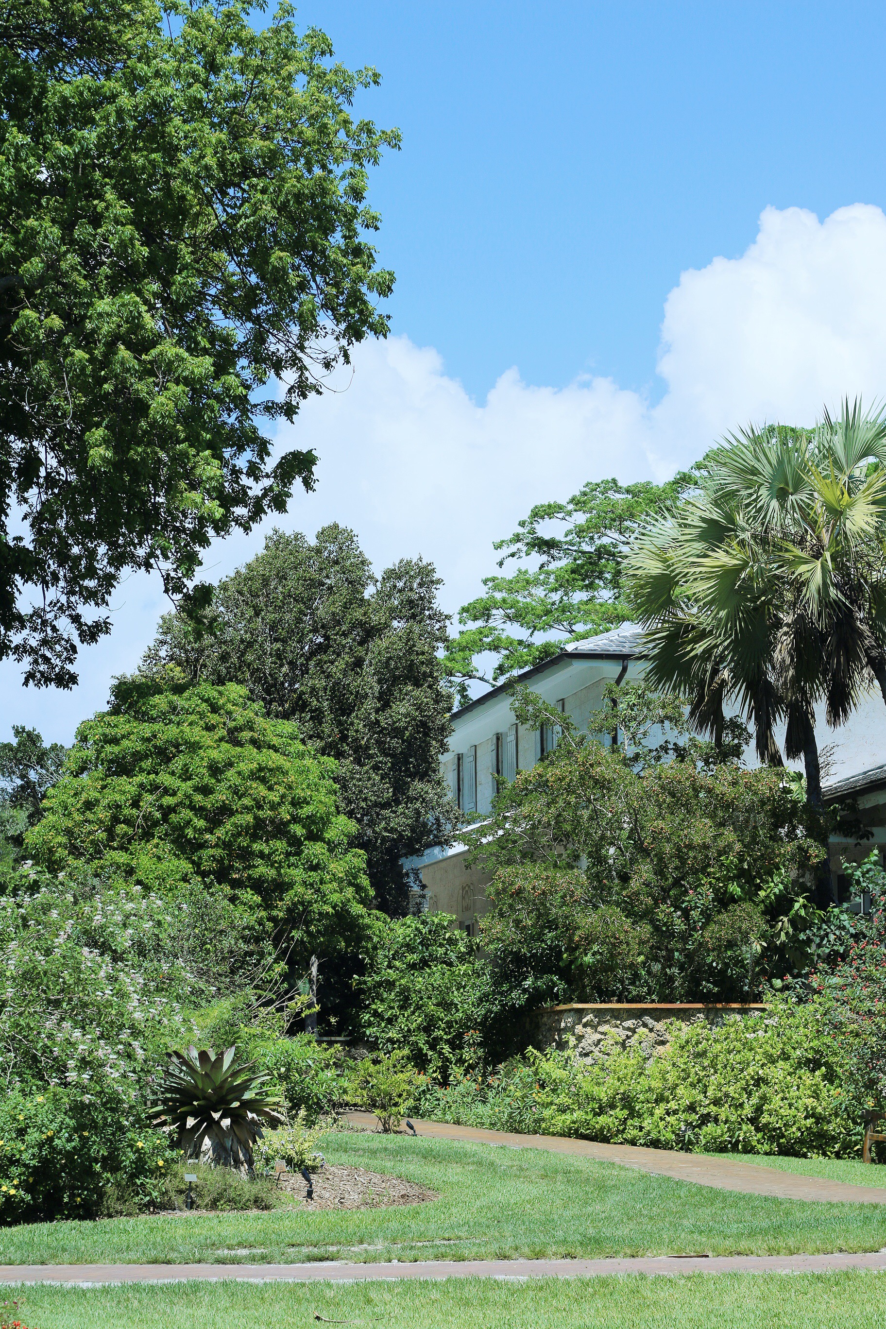 Outdoor Yoga at Fairchild Tropical Botanic Garden in Coral Gables, Florida - Miami
