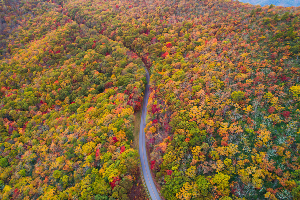 Asheville North Carolina Travel Guide - Fall Foliage