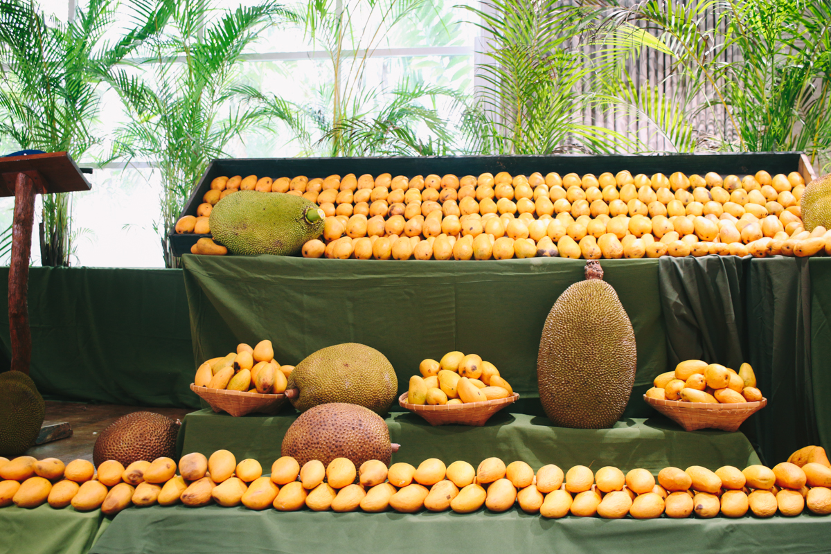 Fairchild Botanic Garden Mango Festival in Coral Gables, Florida