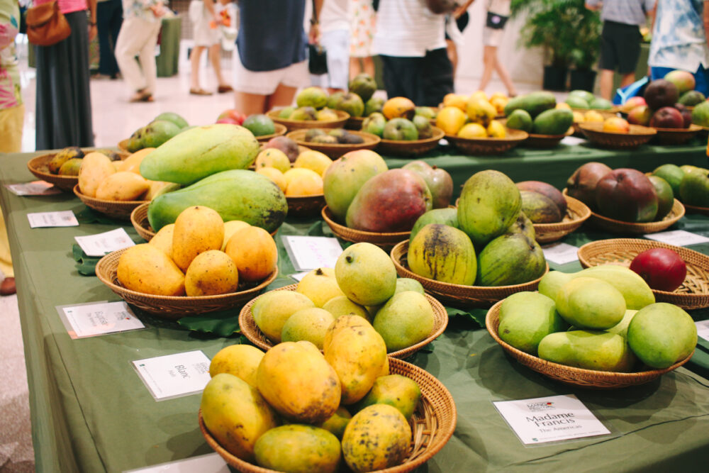 Fairchild Mango Festival: So Many Mangos - Coral Gables Love