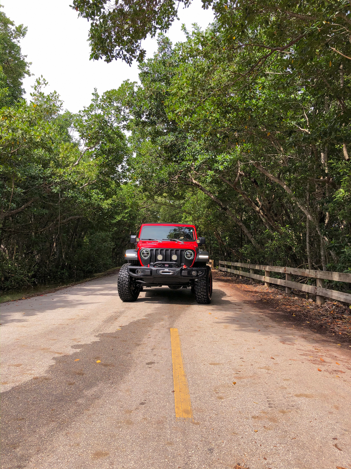Jeep Wrangler Rubicon Exploring High Tide in Matheson Hammock Park in Coral Gables, Florida - Miami