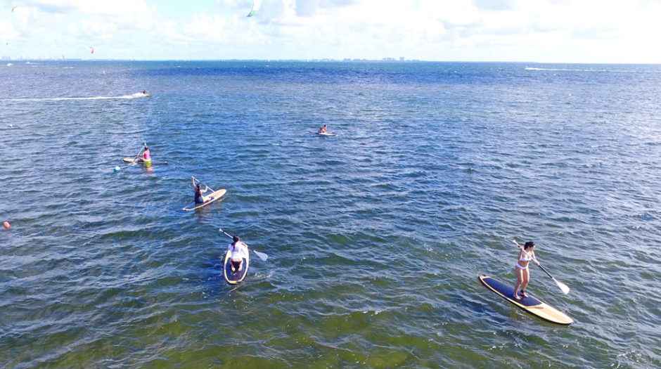 Exploring Matheson Hammocks Park During King Tide Coral Gables Love