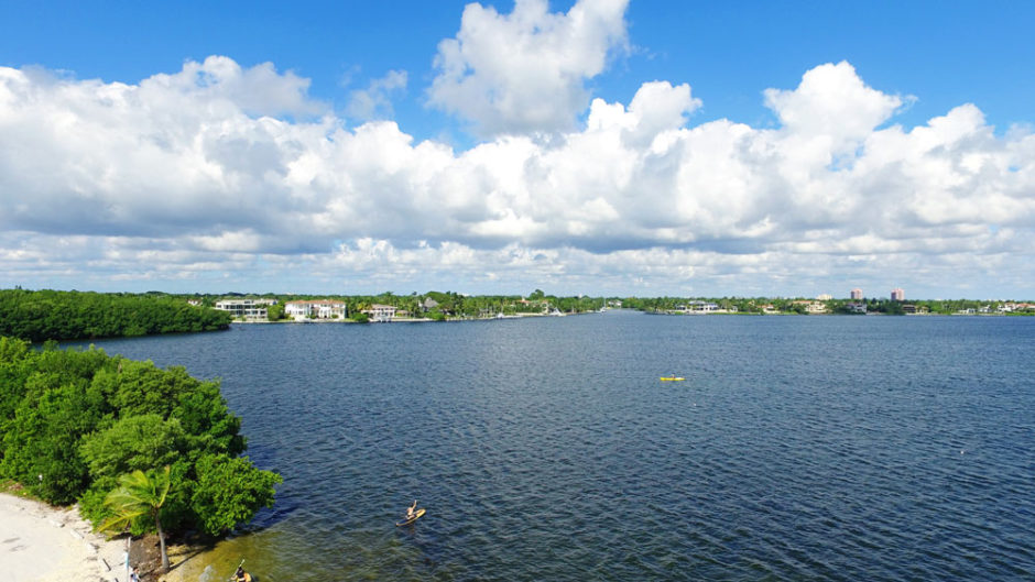 Exploring Matheson Hammocks Park During King Tide Coral Gables Love