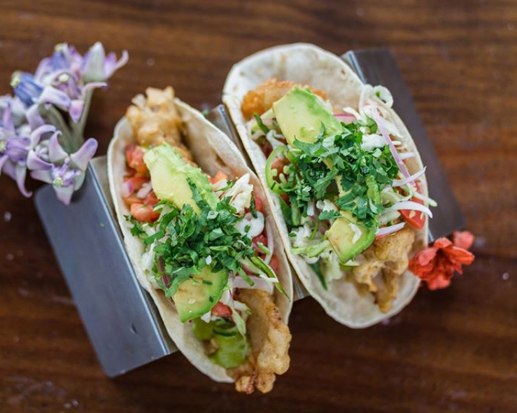 Coyo Taco in Coral Gables fried grouper tacos