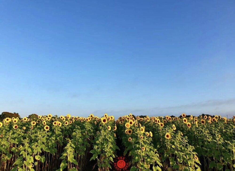 Exploring Homestead, Florida 14 Fun Things To Do Coral Gables Love