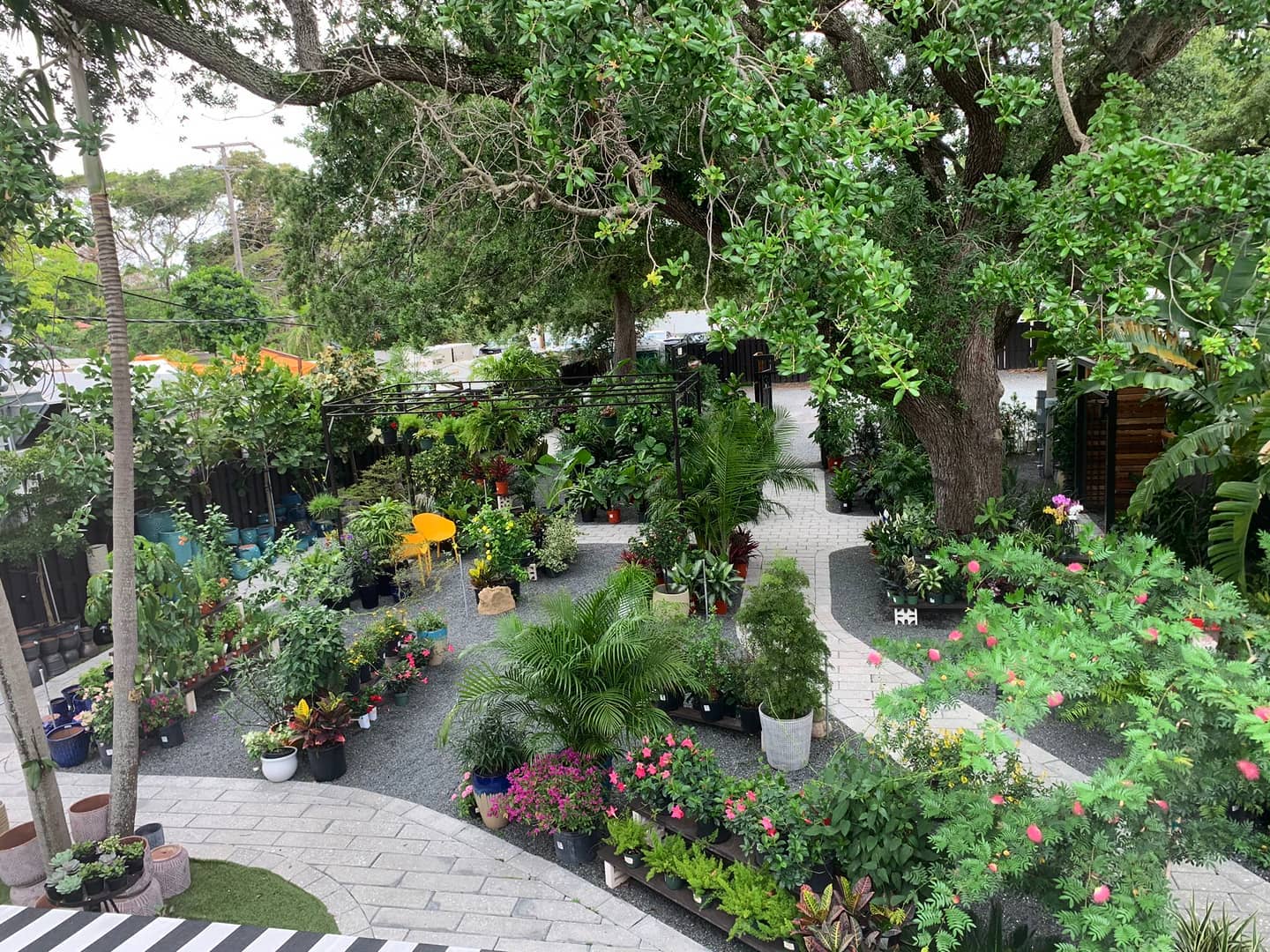 mimo garden center miami