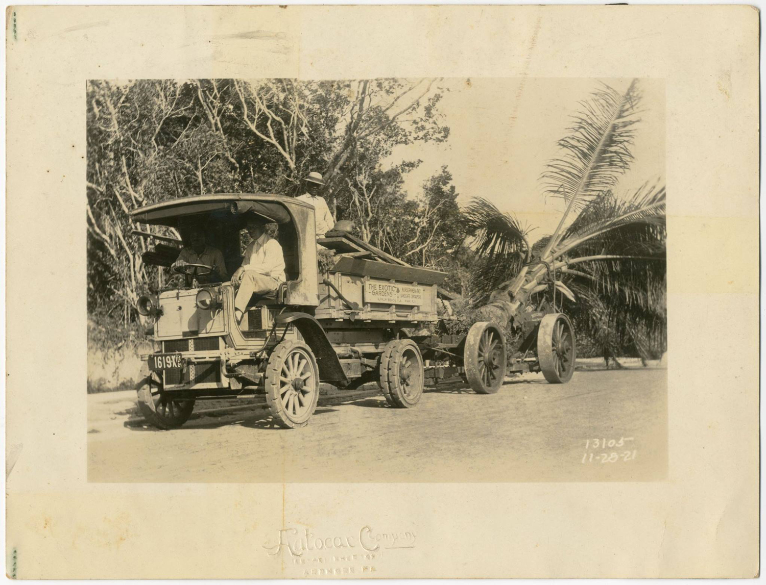 Alec Donn Exotic Gardens Vizcaya November 1921