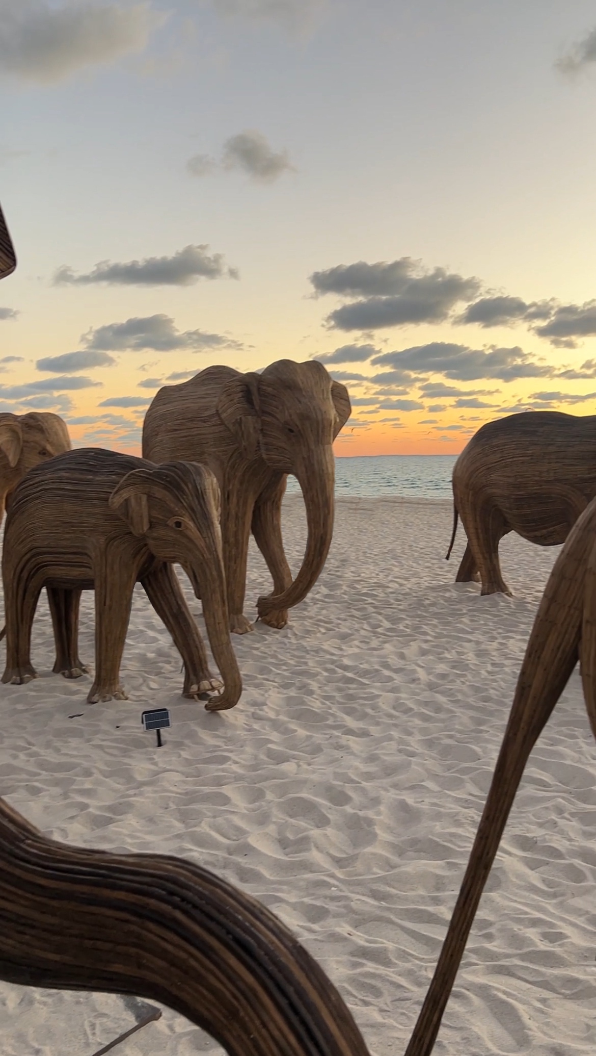 Elphant Art Installation Miami 2024