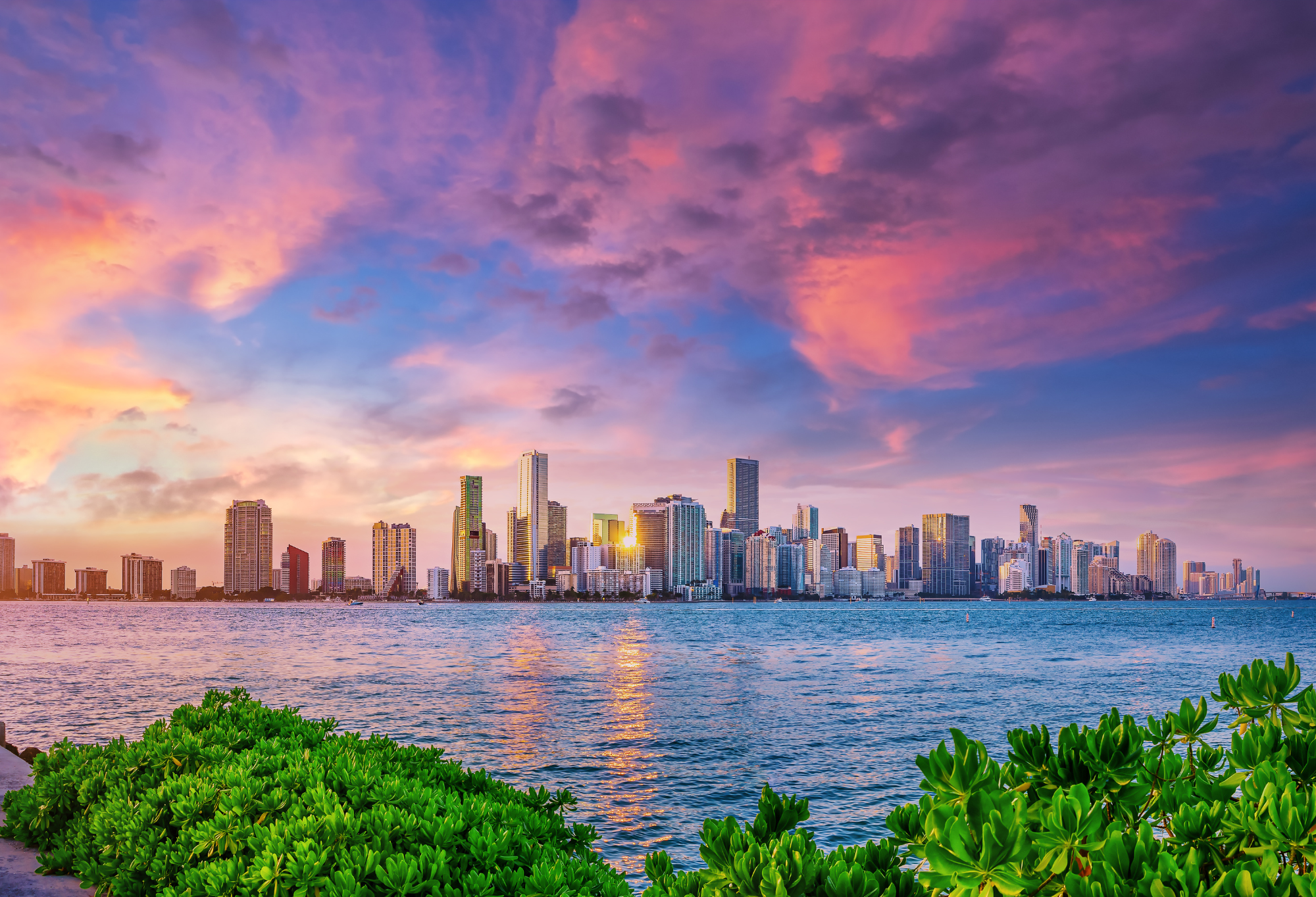 Sunset Cruise Miami promo code CGLOVE10 for 10% off