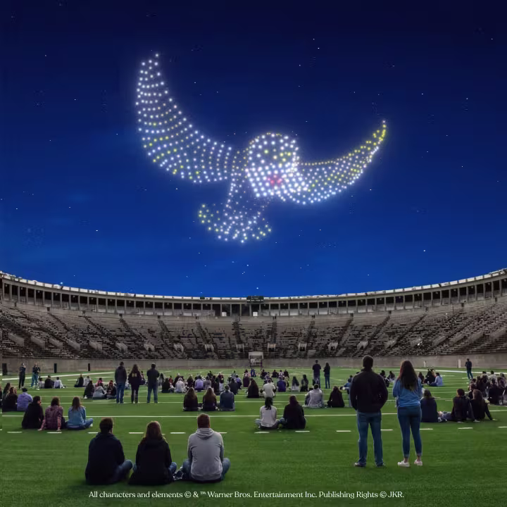 Harry Potter Drone Art Show Miami Promo Code CGLOVE10 for 10% off