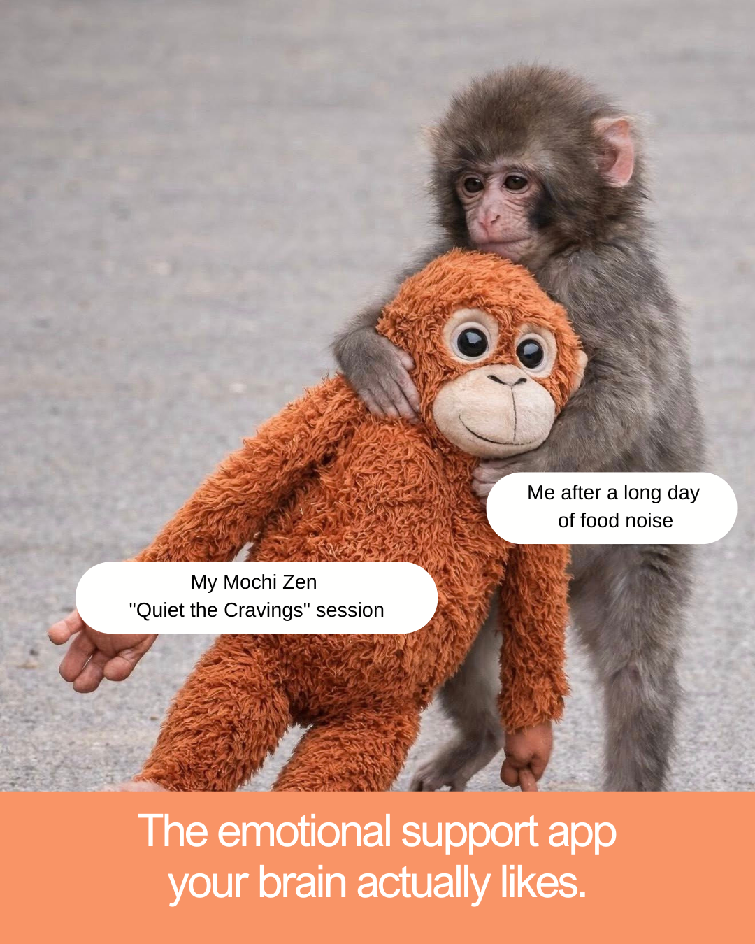 mochi zen emotional eating app is like punch monkey emotional support plushie